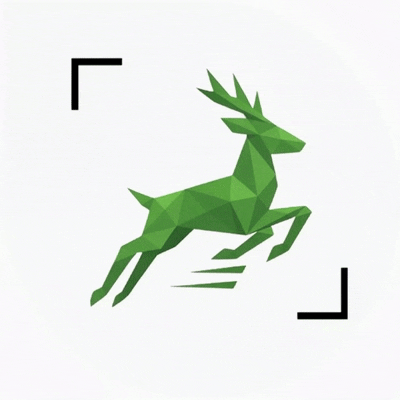 Scandeer